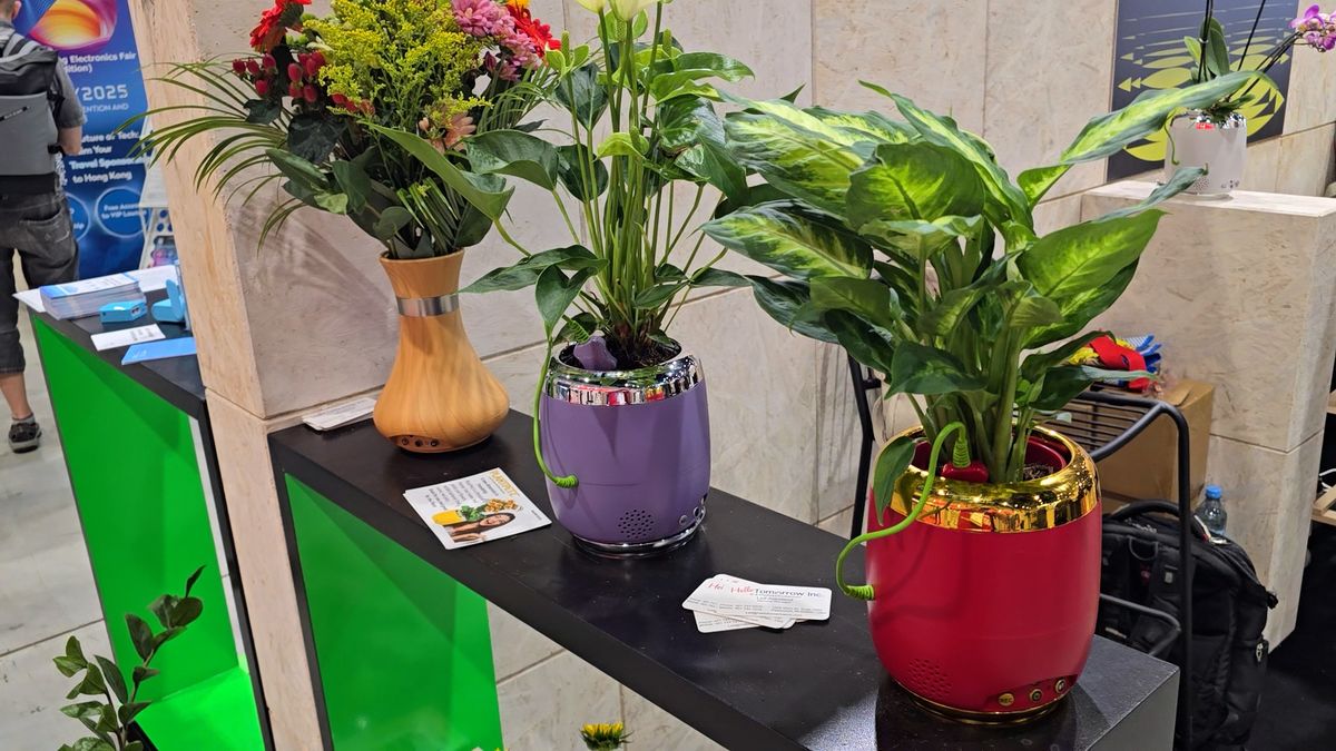 Živé rostliny proměnili v domácí mazlíčky. Jde o milionový byznys